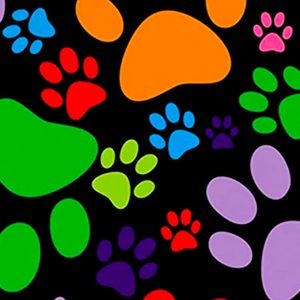 Like This Listing To Be Notified When I Go Live!!!!